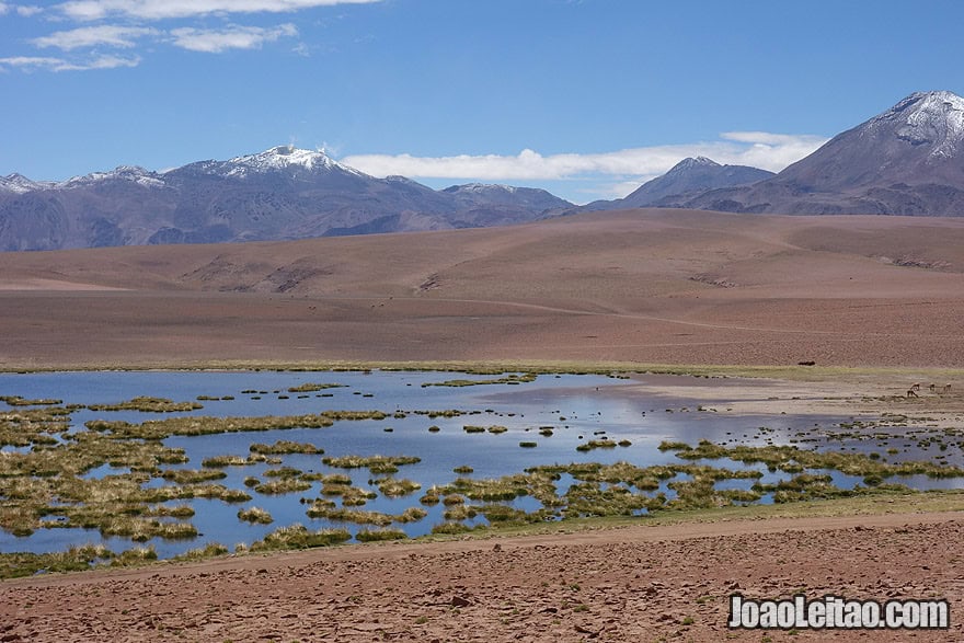 Gorgeous Landscape in Atacama Photo