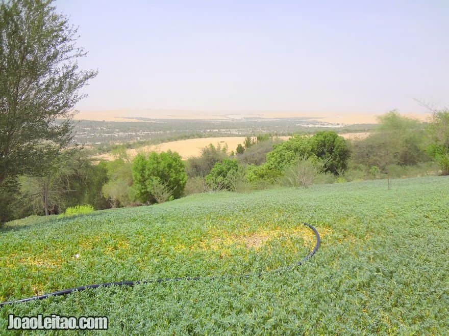 Liwa Oasis United Arab Emirates