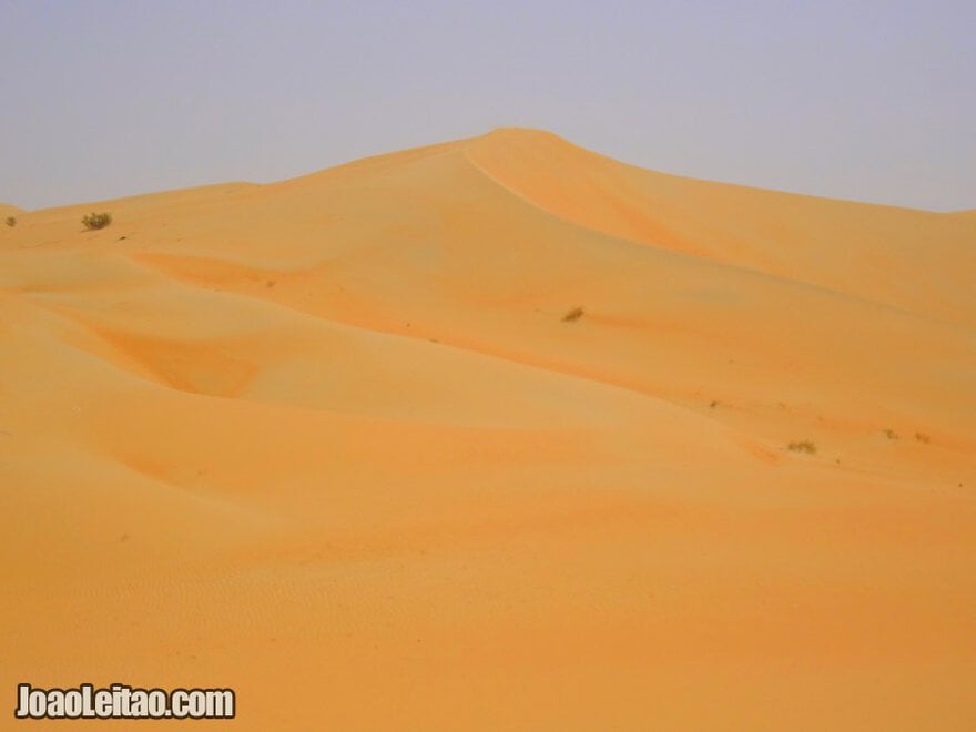 Visit Rub al Khali Desert United Arab Emirates