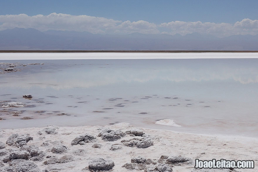 Photo of Atacama Salt Lake