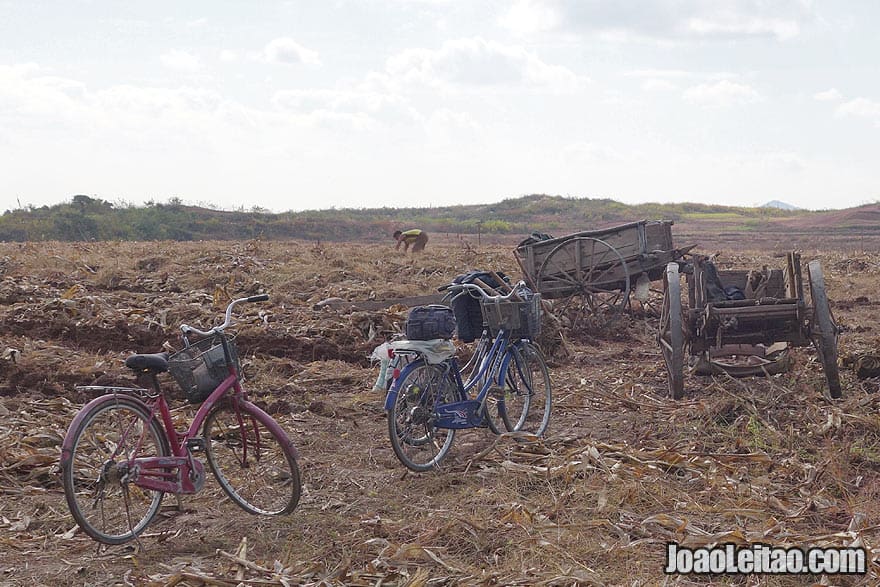 North Korea is a very non-mechanical country. Like in many parts of Morocco - where I live, cropping and taking care of the land manually is a part of daily life.