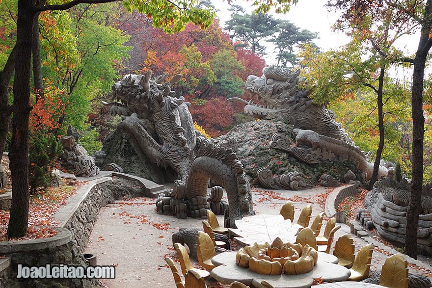 The park in the Dragon Mountain has a huge dragon sculpted in the pic-nic area.