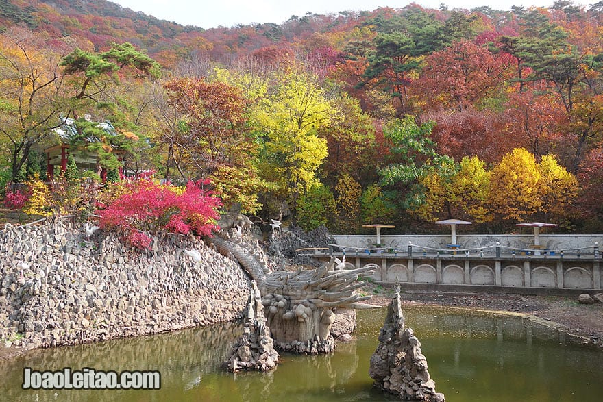 I traveled to DPRK during the beautiful Autumn season when all the trees have amazing different colors.