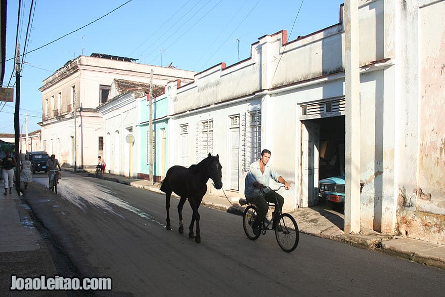 Horse and man on bicycle in Remedios