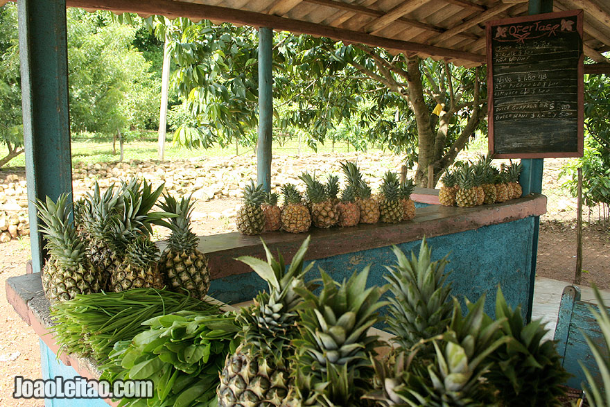 Pineapple Fruit stall
