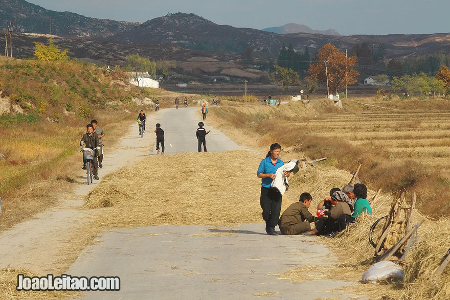 In DPRK countryside people use the road asphalt for threshing grains.