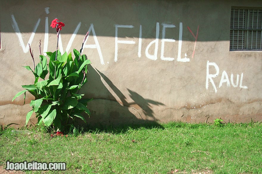 Viva Fidel and Raul script with red flower