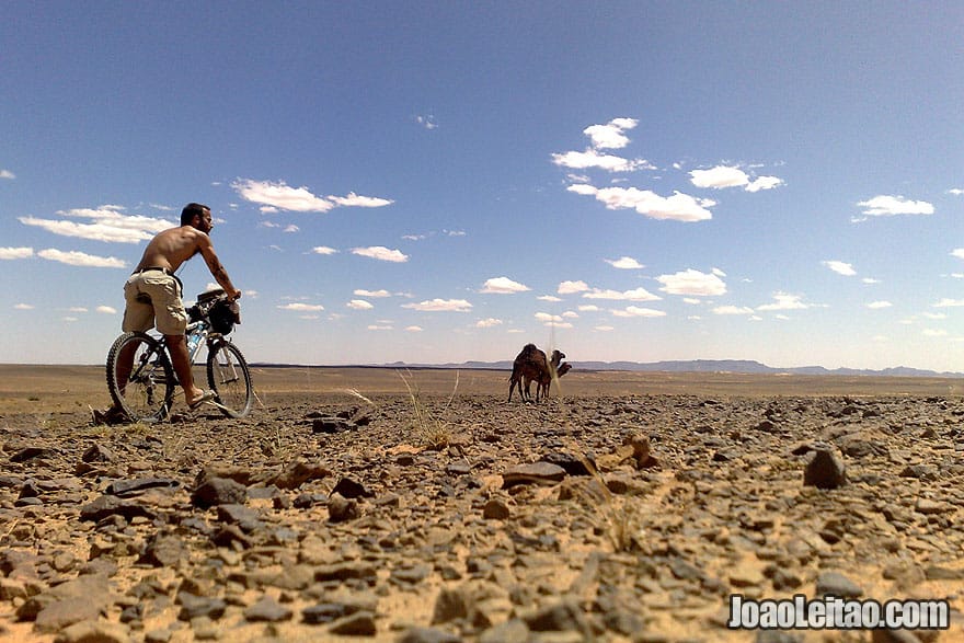 Biking Sahara Desert along with camels