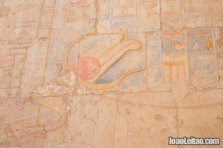 Hathor, an ancient Egyptian goddess represented as Cow in Hatshepsut Temple