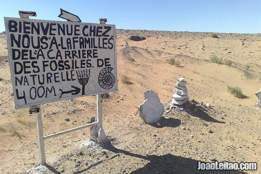 Erfoud Fossil beds in Sahara Desert