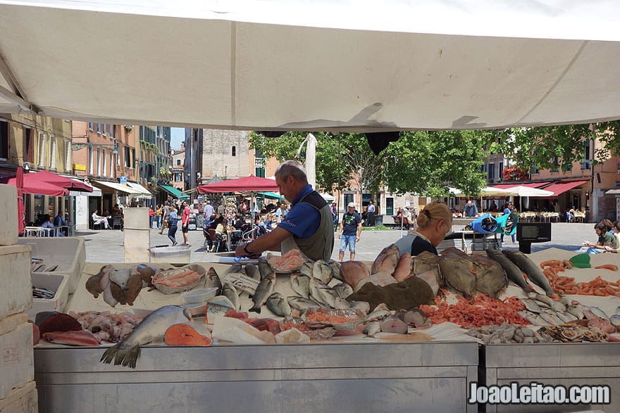 Venice street fish market