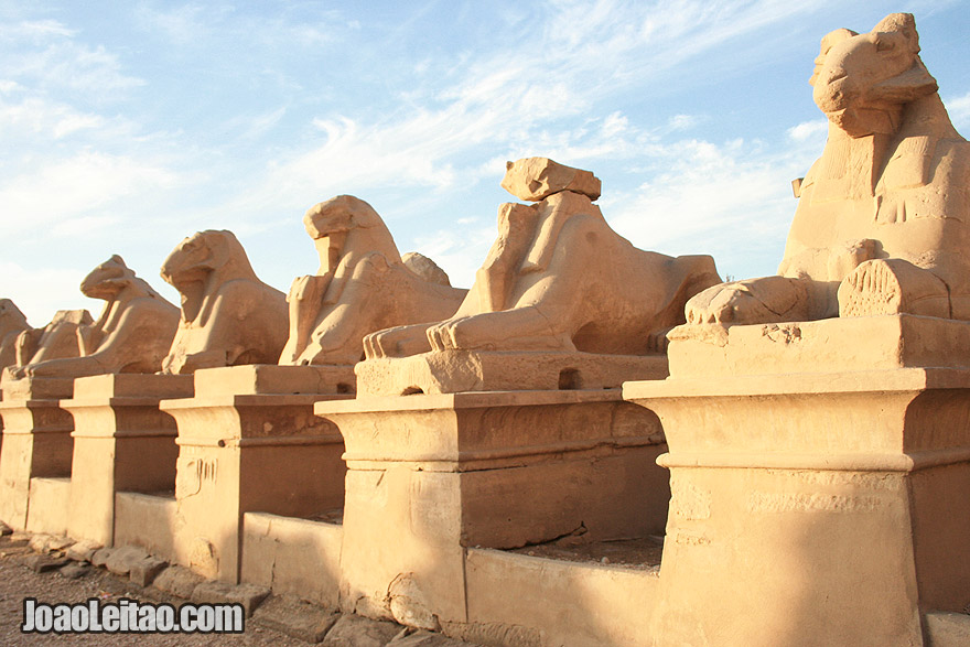 Row of goat sphinxes at the temple of Karnak