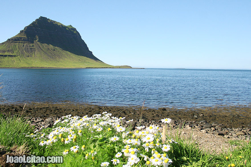 Visit Kirkjufell Mountain Grundarfjorour Western Region Iceland