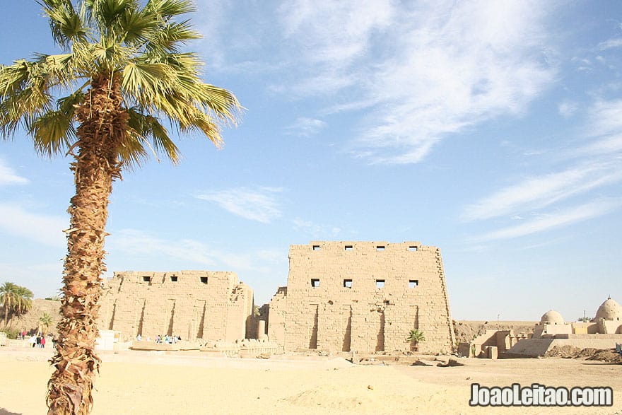 Karnak Temple and palm tree in Luxor