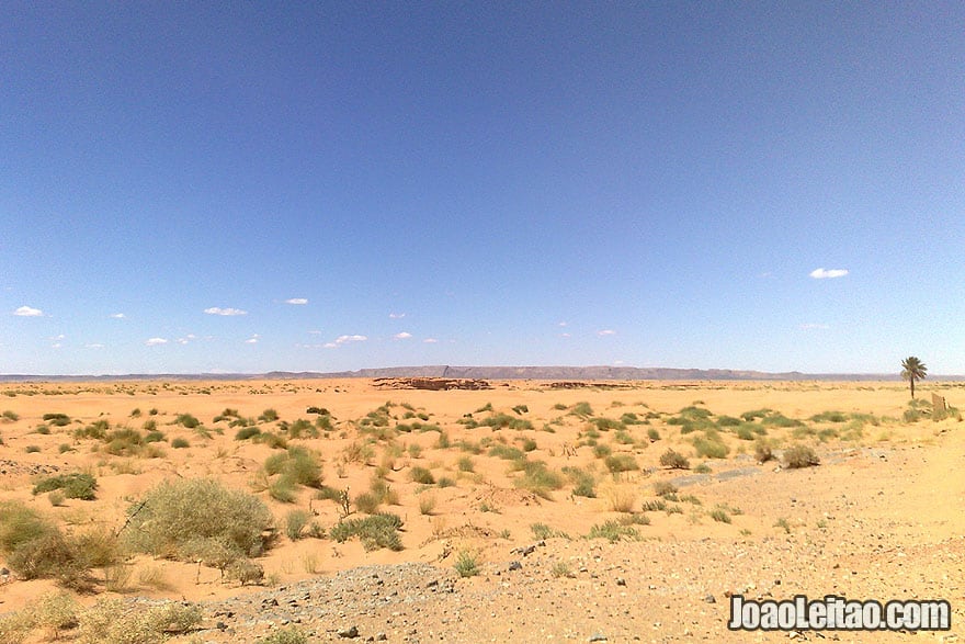 Merzouga desert tracks