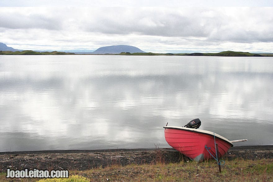 Visit Myvatn eutrophic lake Northeastern Region Iceland