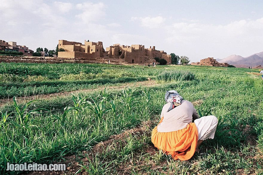 Photo of girl working on the fields of Tamtettoucht in the Atlas Mountains, Morocco