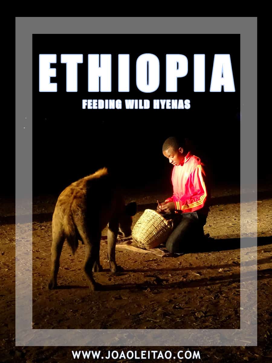 Wild Beasts Encounter - Feeding Hyenas in Ethiopia