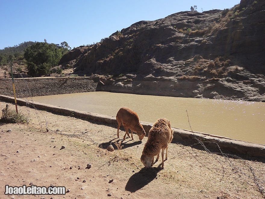Queen of Sheba's Bath reservoir in Axum, Ethiopia