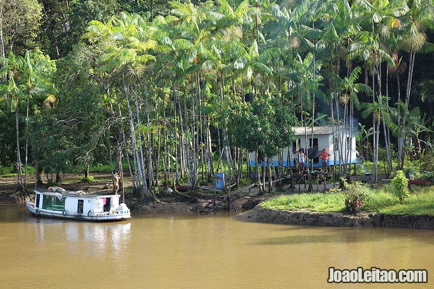 Casa na selva perto do Rio Amazonas, Brasil