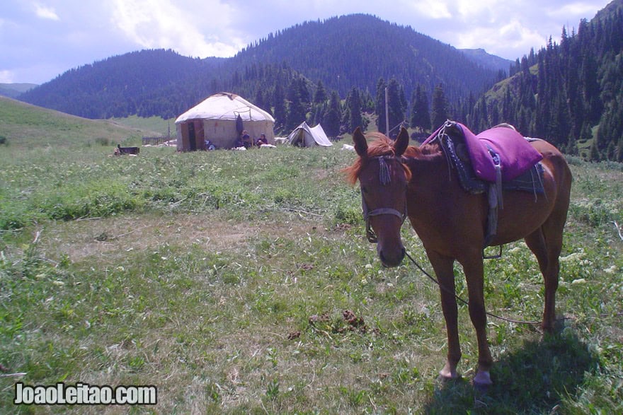 Nomads of Kazakhstan - Ile Alatau Mountain Range Nomad Camp in Ile-Alatau National Park