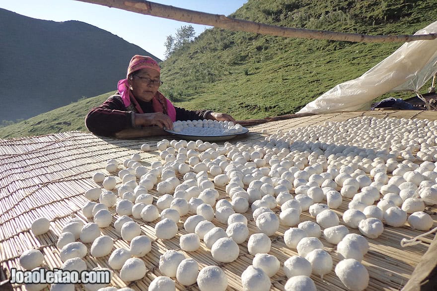 Senhora a preparar bolas de queijo qurut