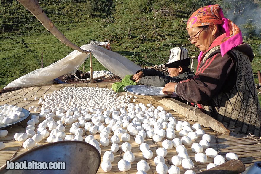 Kyrgyz Qurut Cheese by nomads