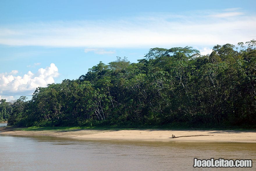 Napo River in Peru