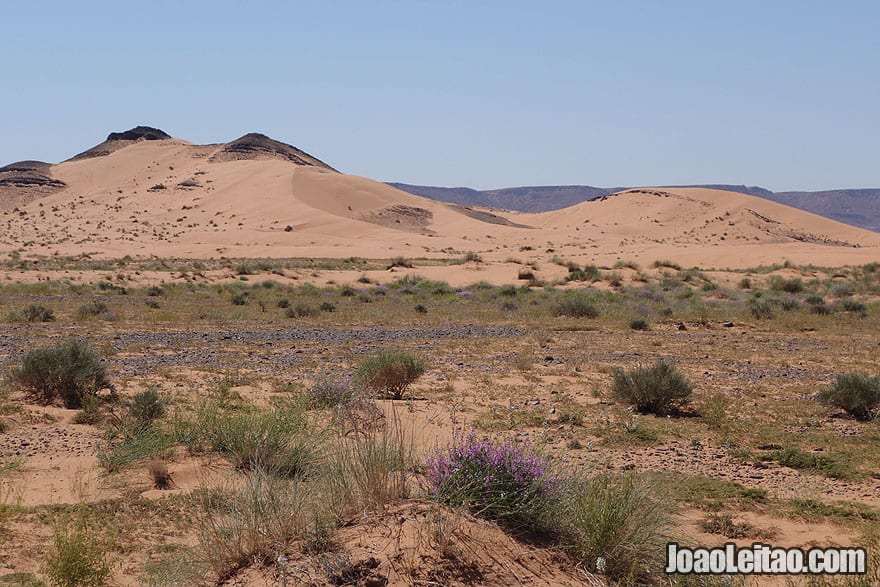 Paisagem do Deserto de Saara em Marrocos