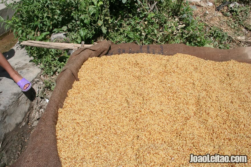 Preparing bulgur in Kani