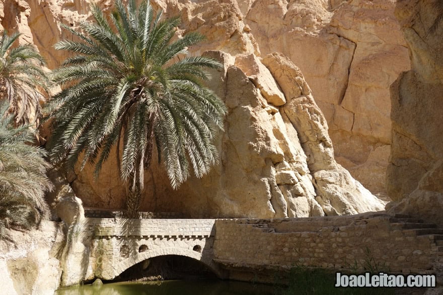 Chebika Mountain Oasis in Tunisia