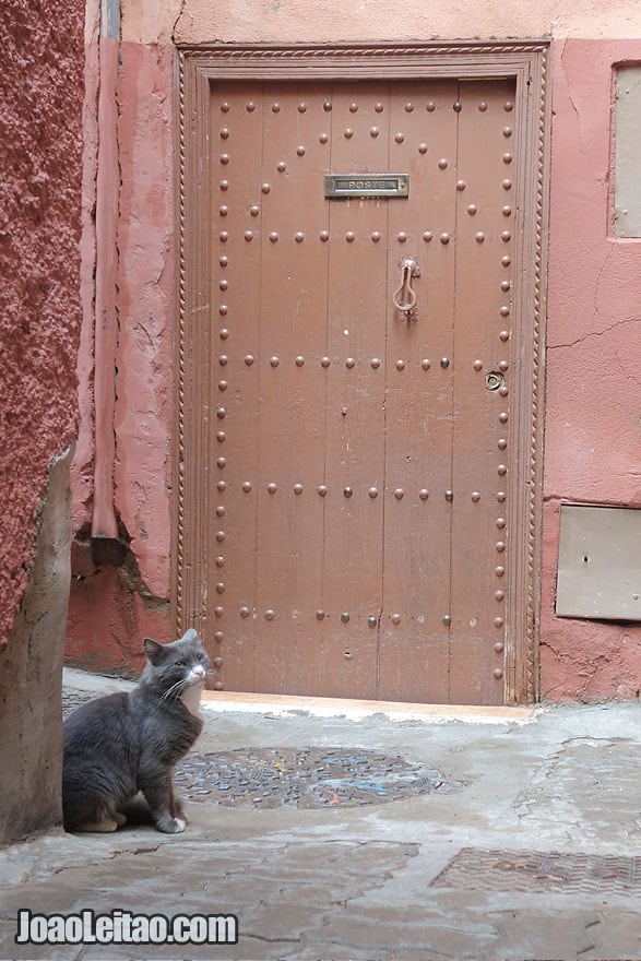 Door in Marrakesh old city