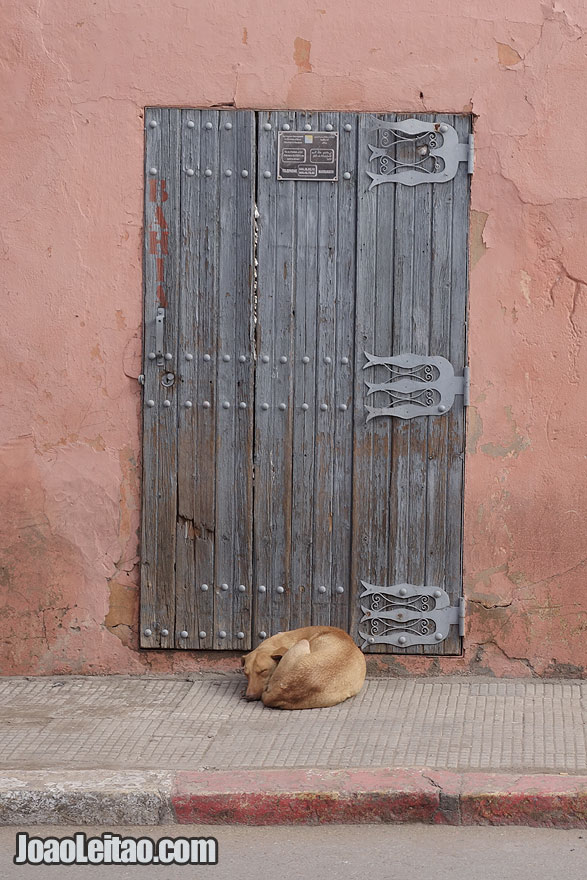 Door in Marrakesh old city