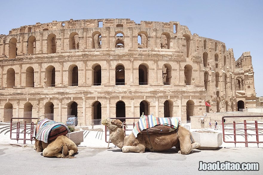 Amphitheatre of El Jem in Tunisia