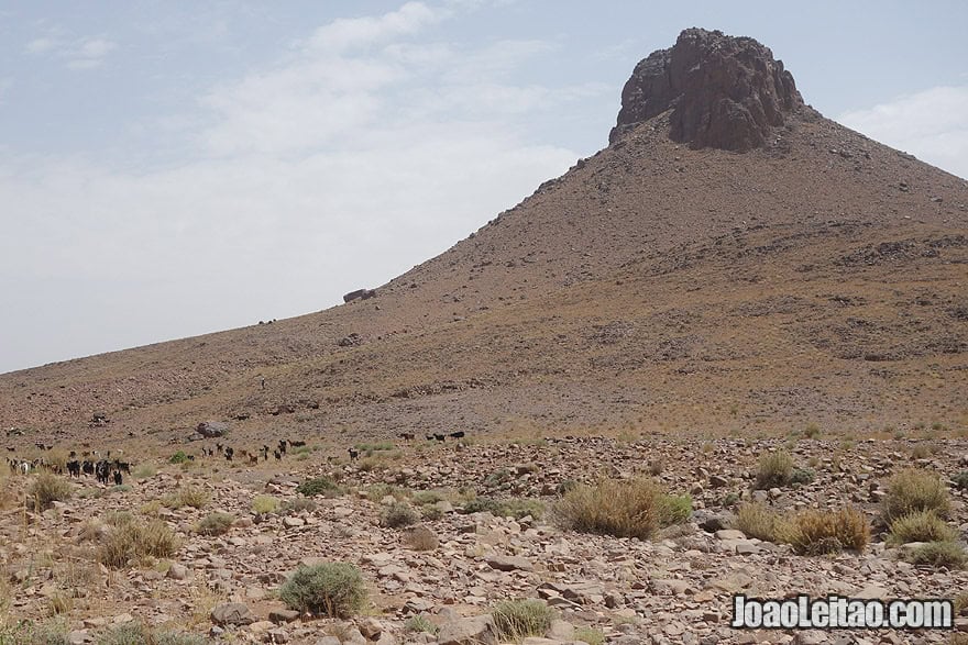 Jbel Adad and a herd of goats