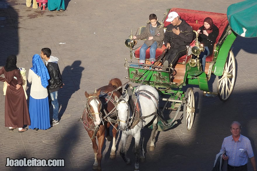 Horse-drawn carriage of Marrakesh