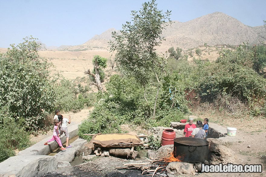 Bulgur preparation in Kani village, Iraq