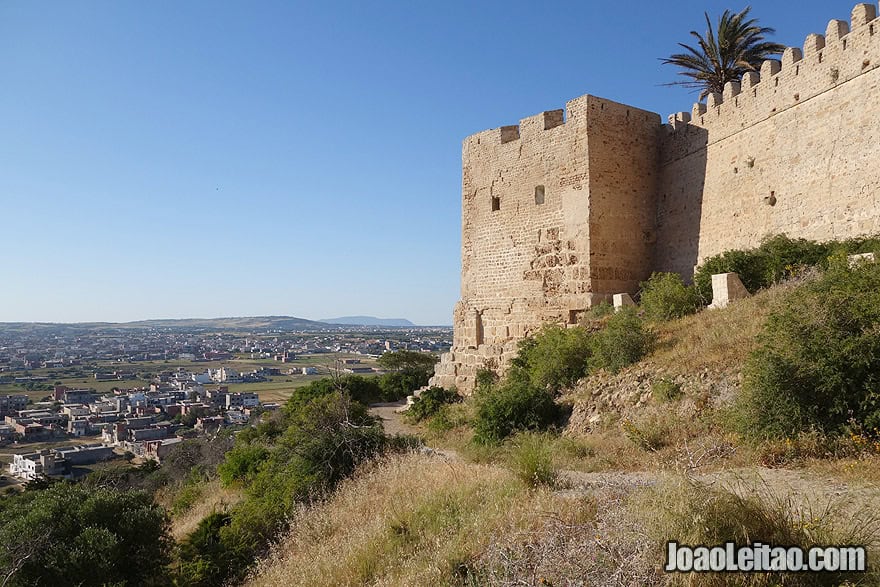 Kelibia castle in Tunisia