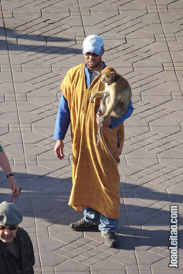 Monkey Handler of Marrakesh