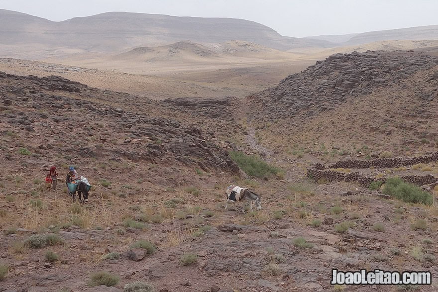 Nomad family with donkeys coming back from oasis