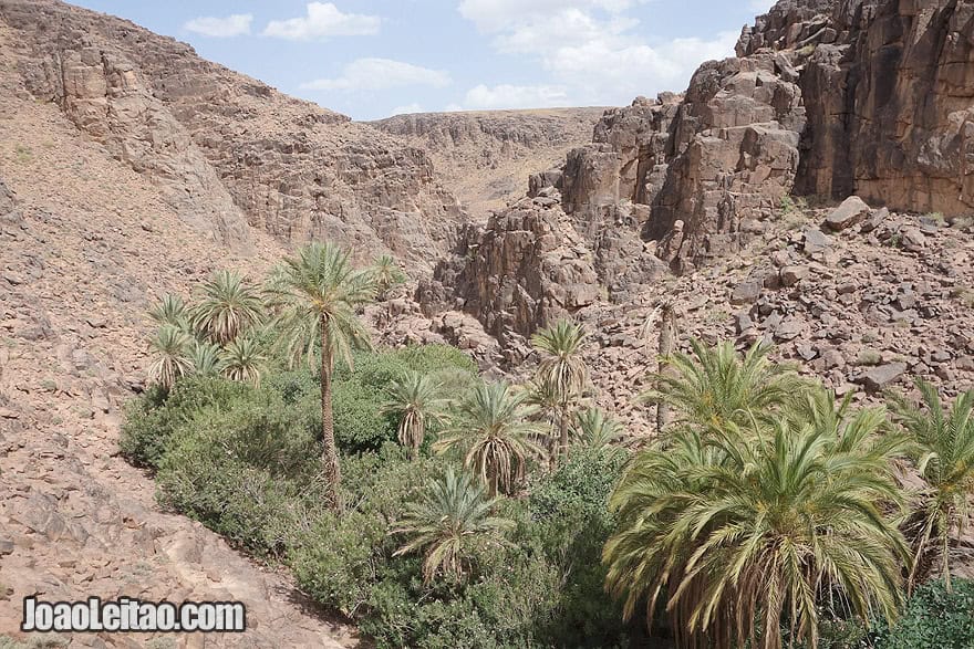 Rocky canyon oasis near Jbel Adad