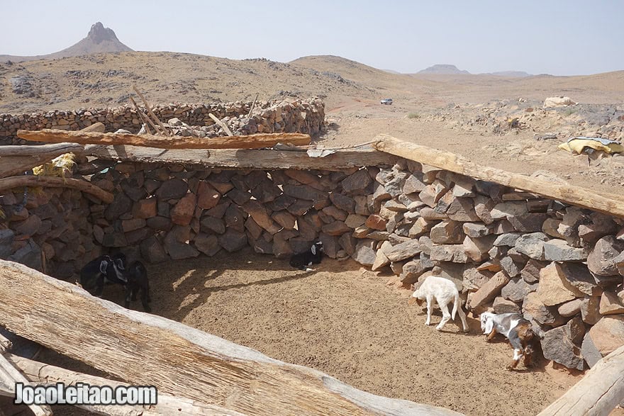 Sheepfold in Azib N Oudad