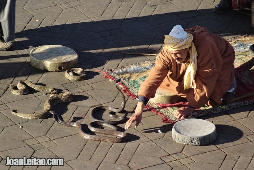 Encantadores de serpentes de Marraquexe