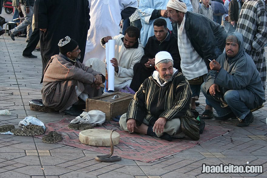 Snake charmers in Marrakesh