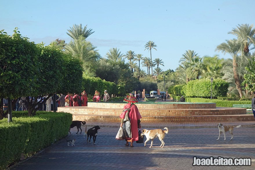 Water seller in Marrakesh