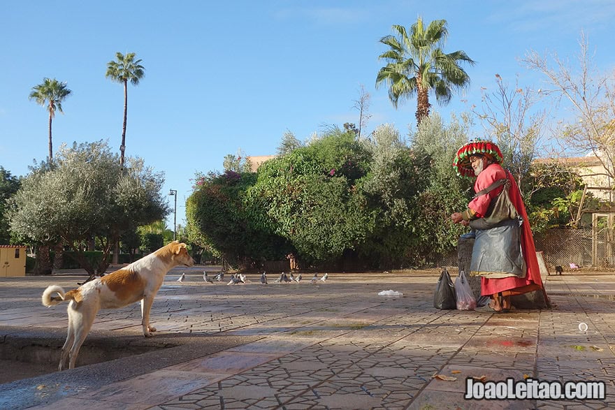 Djemaa El-Fna Marrakesh – Insanity beyond expectations Water seller in Marrakesh