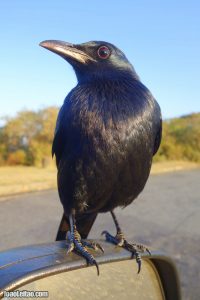 Blyde River canyon in Mpumalanga – South Africa Blyde River canyon in Mpumalanga – South Africa