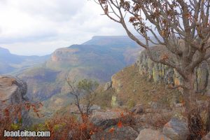 Blyde River canyon in Mpumalanga – South Africa
