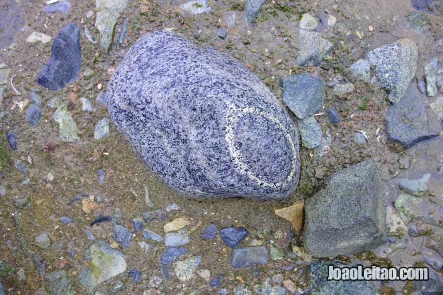 Círculo desenhado pela Natureza numa rocha na Ilha Meia Lua, Antártida