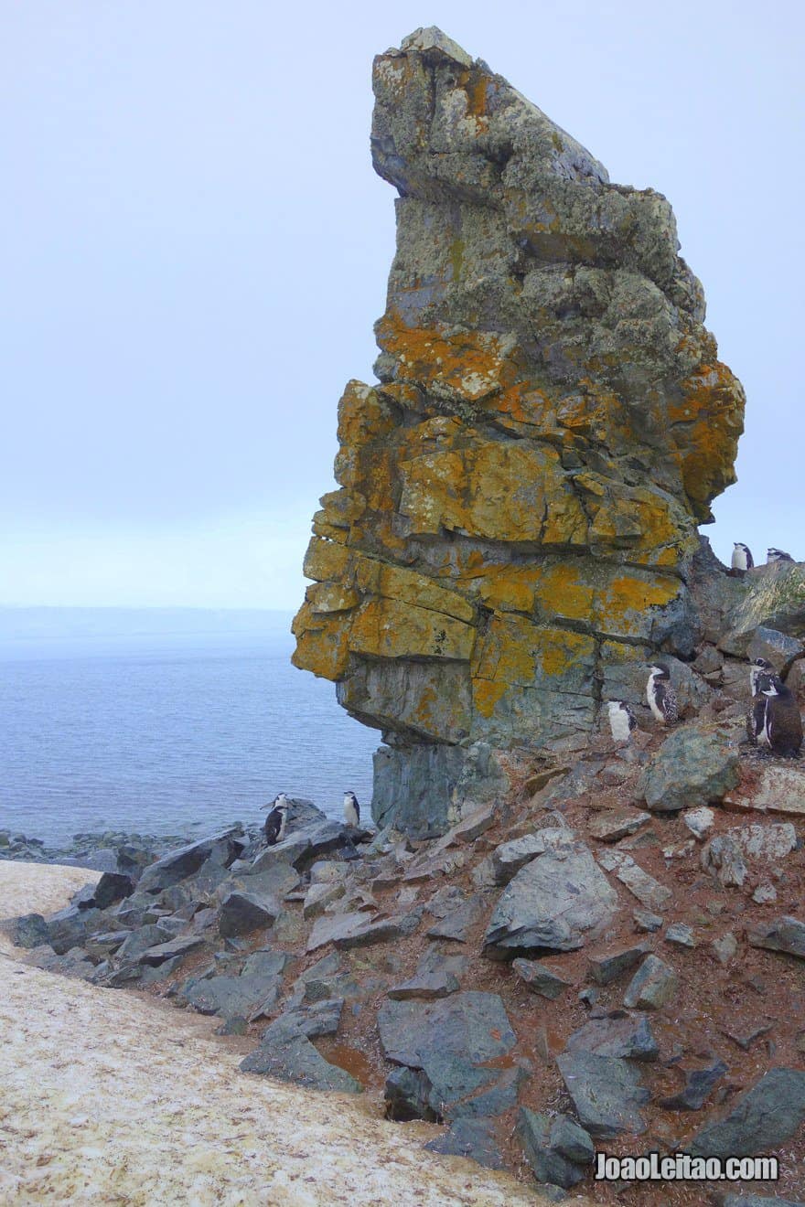 Rocha escura na Ilha da Meia Lua, visitar a Antártida